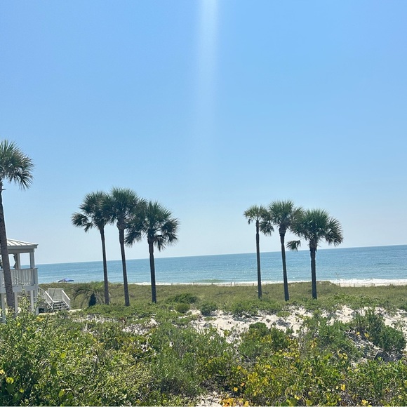 Meet your Posher, Theresa - Picture 1 of 1